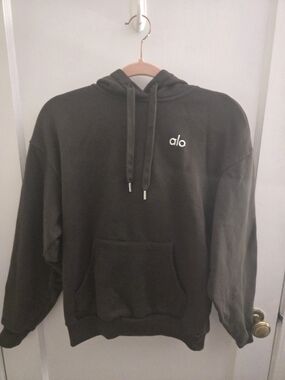 ALO Accolade Hoodie In Espresso